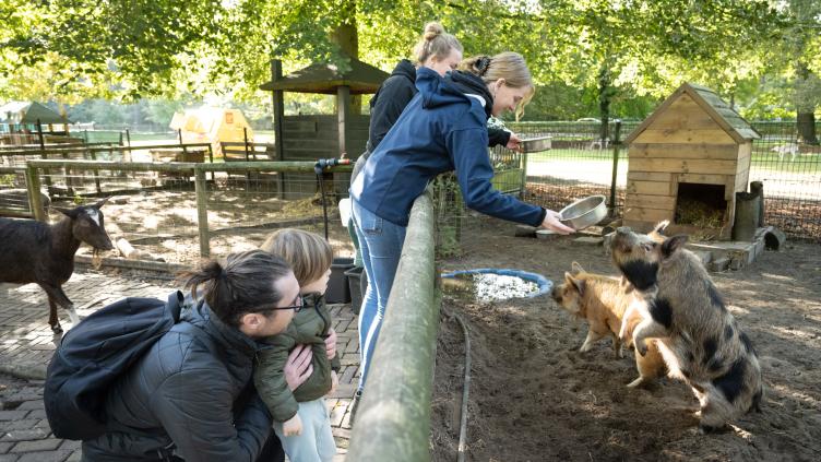 Bezoekers geven eten aan de varkens op de Houthoeve